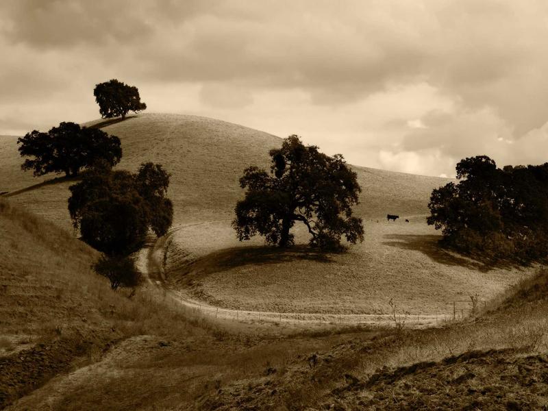 sudoku progress save screenshot 2