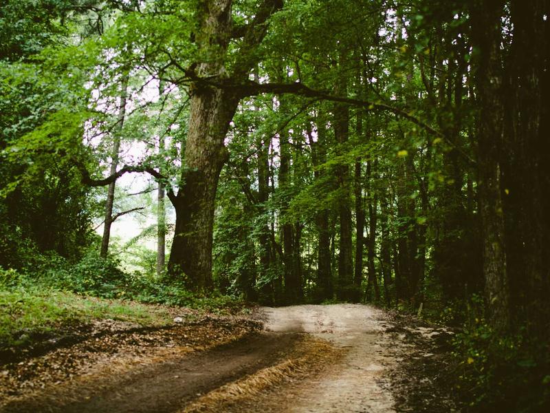 sudoku starter kit screenshot 5